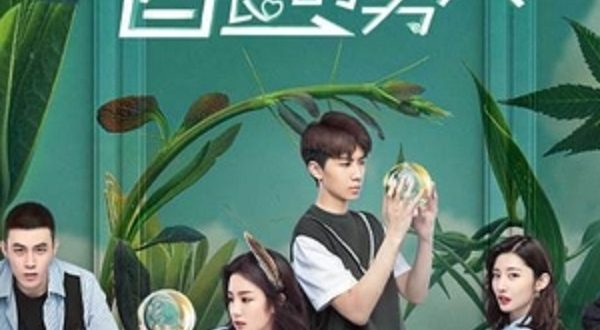 Download Drama China Mr Fox and Miss Rose Subtitle Indonesia Download Drama China Mr Fox and Miss Rose Subtitle Indonesia