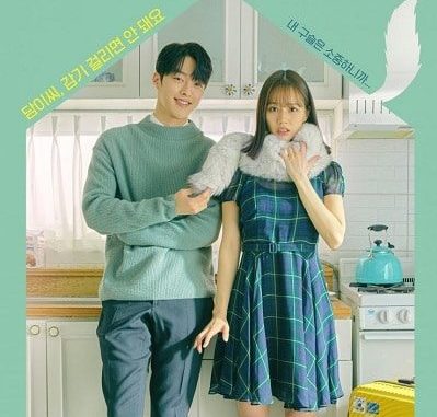 Download Drama Korea My Roommate Is Gumiho Subtitle Indonesia Download Drama Korea My Roommate Is Gumiho Subtitle Indonesia